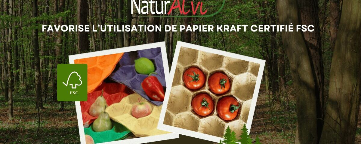 FSC Papier Kraft Naturalvi